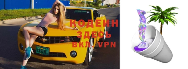 прущие грибы Балахна