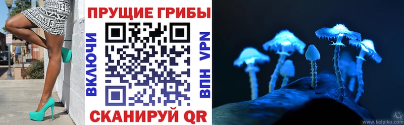 закладки  Калининец  Галлюциногенные грибы GOLDEN TEACHER 